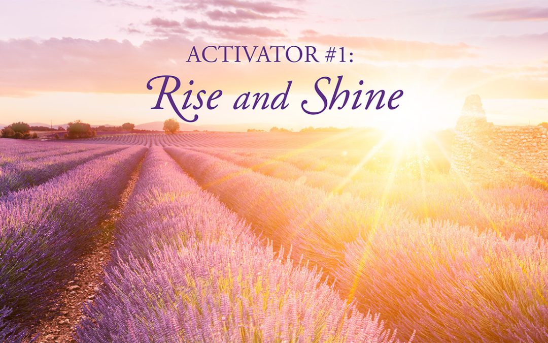 Inner Circle Test – 5-Minute Money Activators Stay Aligned and in the Flow Fast